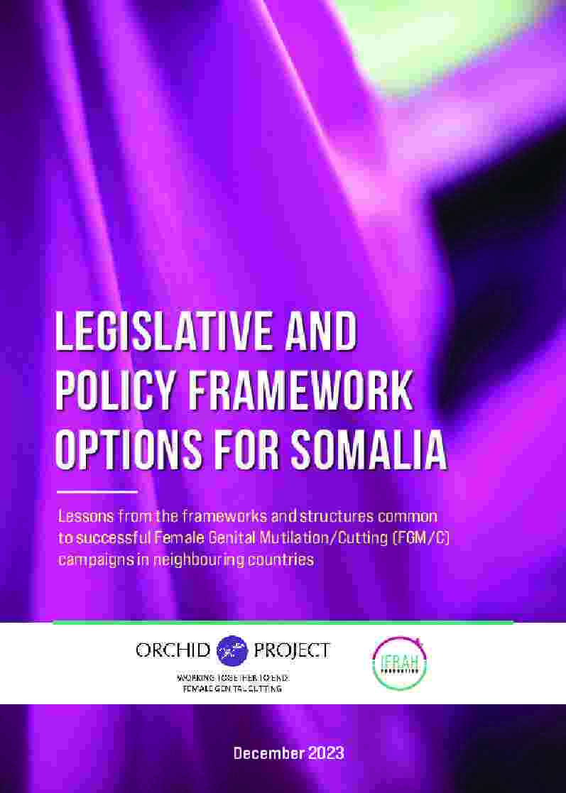 Legislative and Policy Framework Options for Somalia (2023, English)